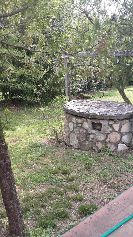 Bed & Breakfast Suite Rende Exterior foto